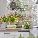 Villavilla #339 - Tisvildeleje, Nordsjælland Feriehus